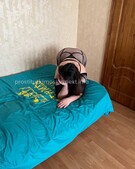 Анкета проститутки Зита - метро Коптево, возраст - 30